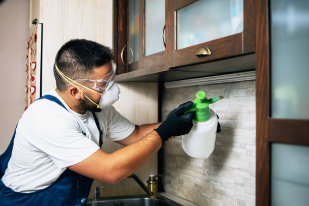 Best Wasp Removal Services  in Parrish, AL