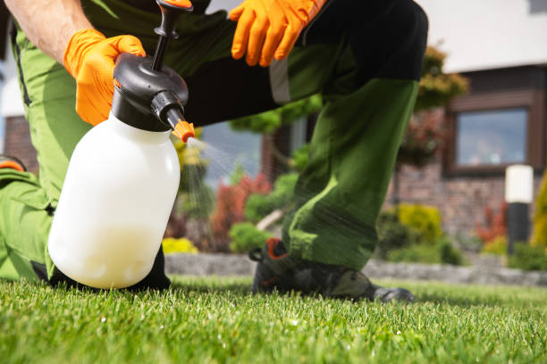 Trusted Parrish, AL Pest Control Experts