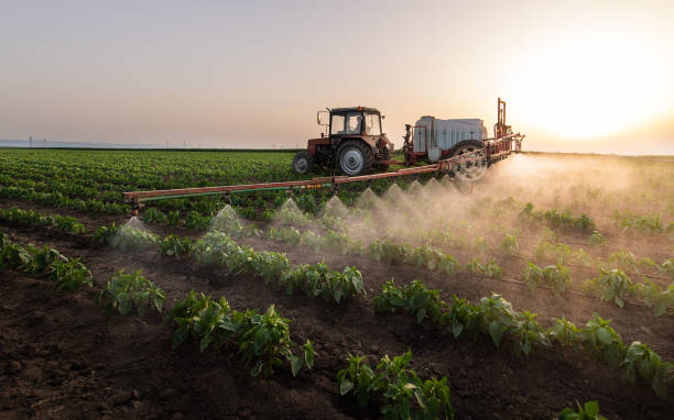 Best Mosquito Control Services  in Parrish, AL