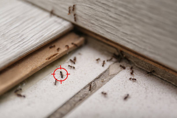 Best Wildlife Control Services  in Parrish, AL