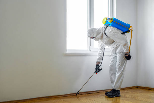 Best Pest Inspection Near Me  in Parrish, AL