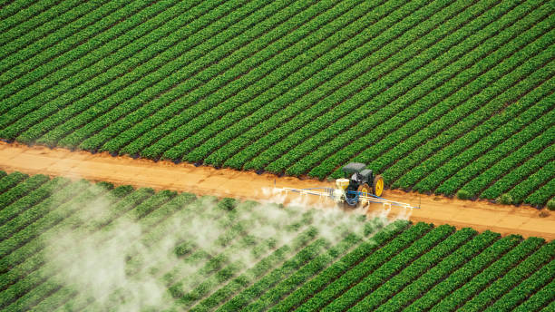 Best Pest Prevention Services  in Parrish, AL