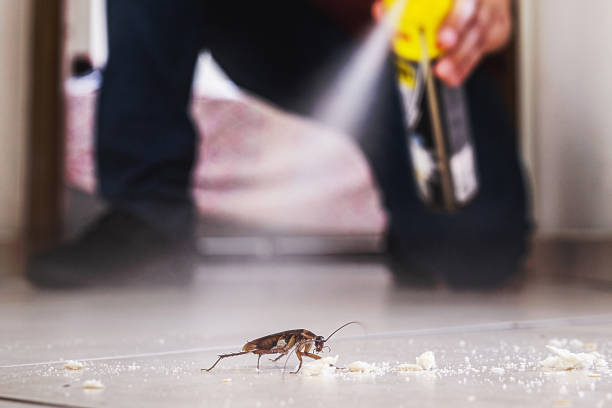 Best Wasp Removal Services  in Parrish, AL