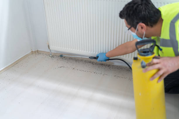 Best Exterminator Services  in Parrish, AL