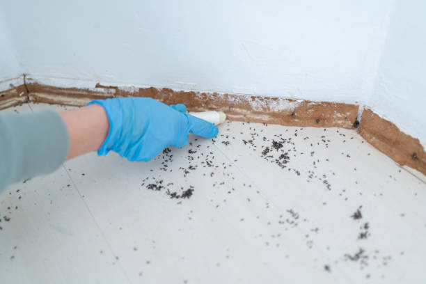 Best Exterminator Services  in Parrish, AL