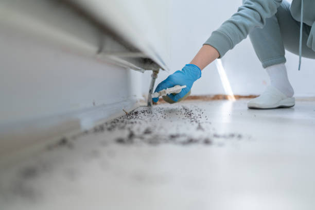Best Termite Control Services  in Parrish, AL